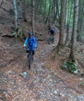 Hirschberg-Trail